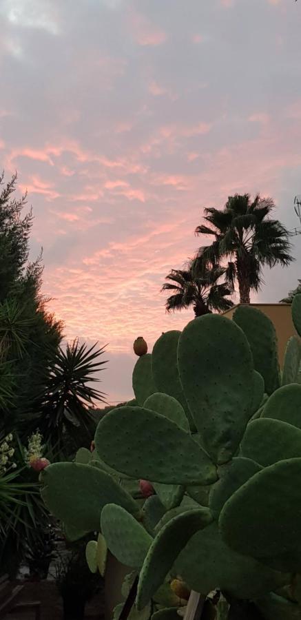 B&B Le Dune Beach San Leone Bagian luar foto