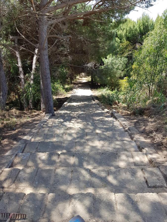 B&B Le Dune Beach San Leone Bagian luar foto